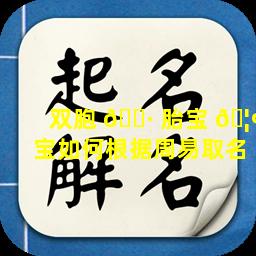 双胞 🕷 胎宝 🦢 宝如何根据周易取名